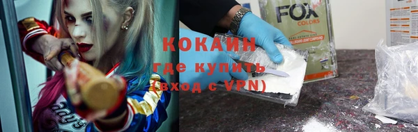 трава Карпинск
