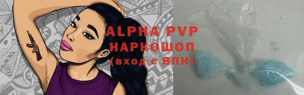 мдпв Касимов