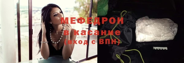 трава Карпинск