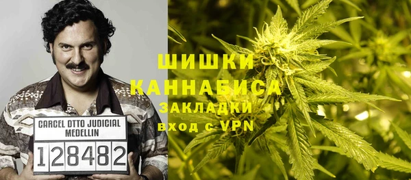 мдпв Касимов